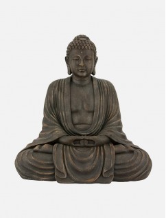 dummy text of the print