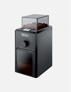 generate Lorem Ipsum