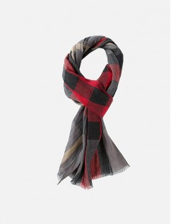 dictionary of over 200